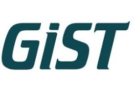 Logo firmy GIST